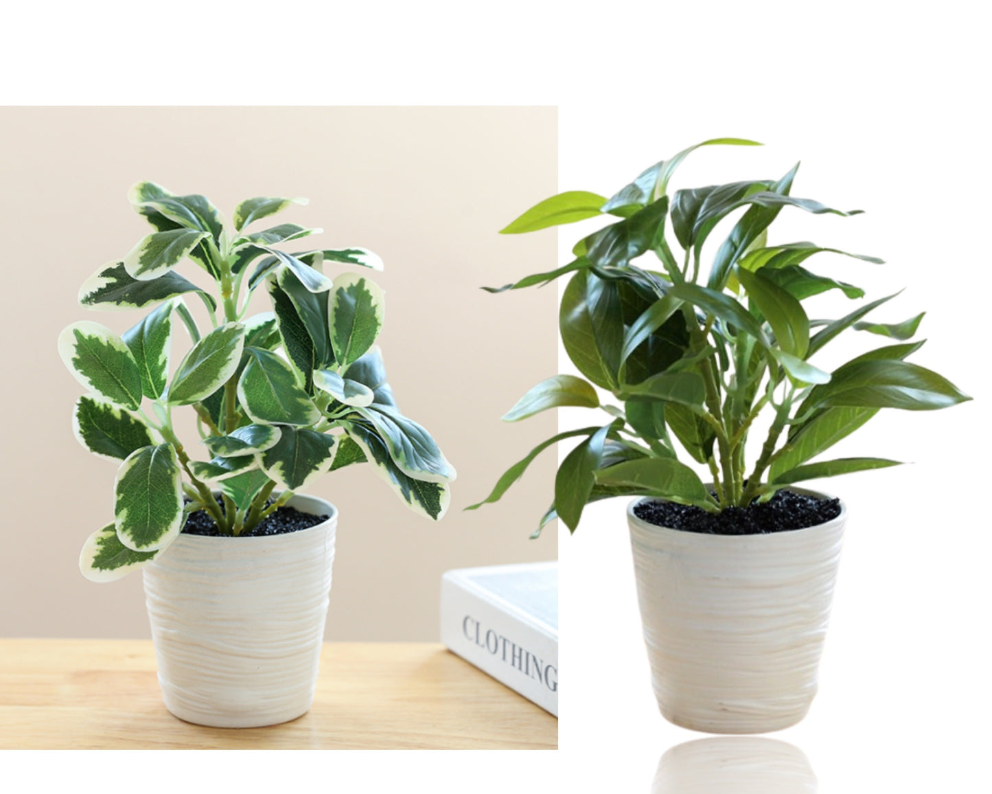 Set 2 Artificial Green Leaf in Pot Assort 28cm