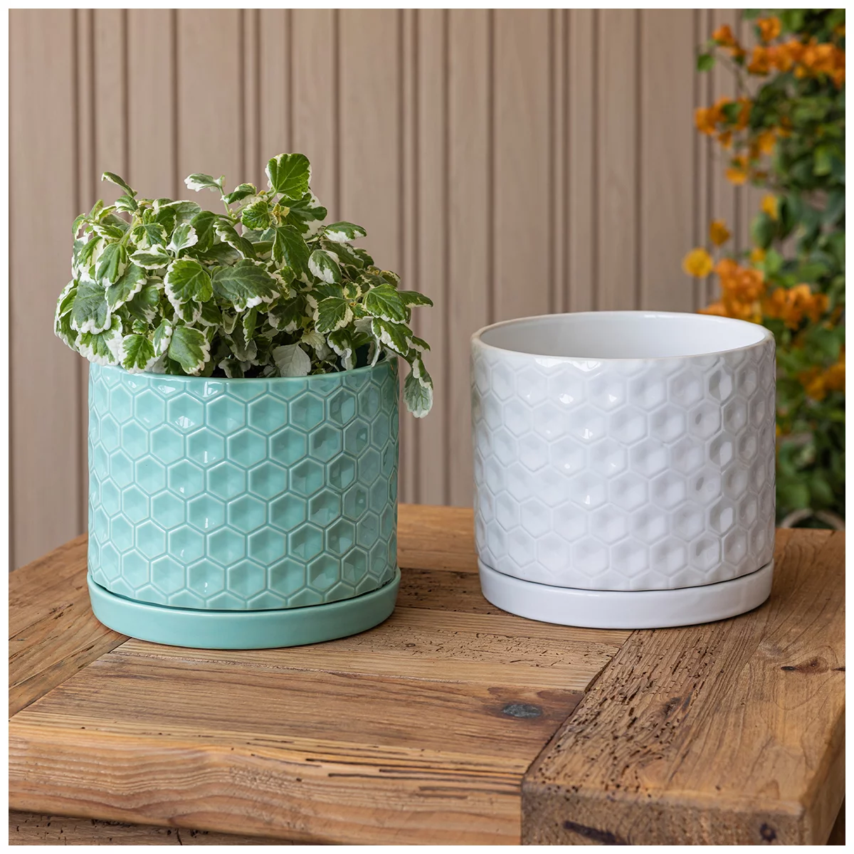 Pack of 2over&back Honeycomb Ceramic Planters W/ Glossy Textured Pots + Saucers
