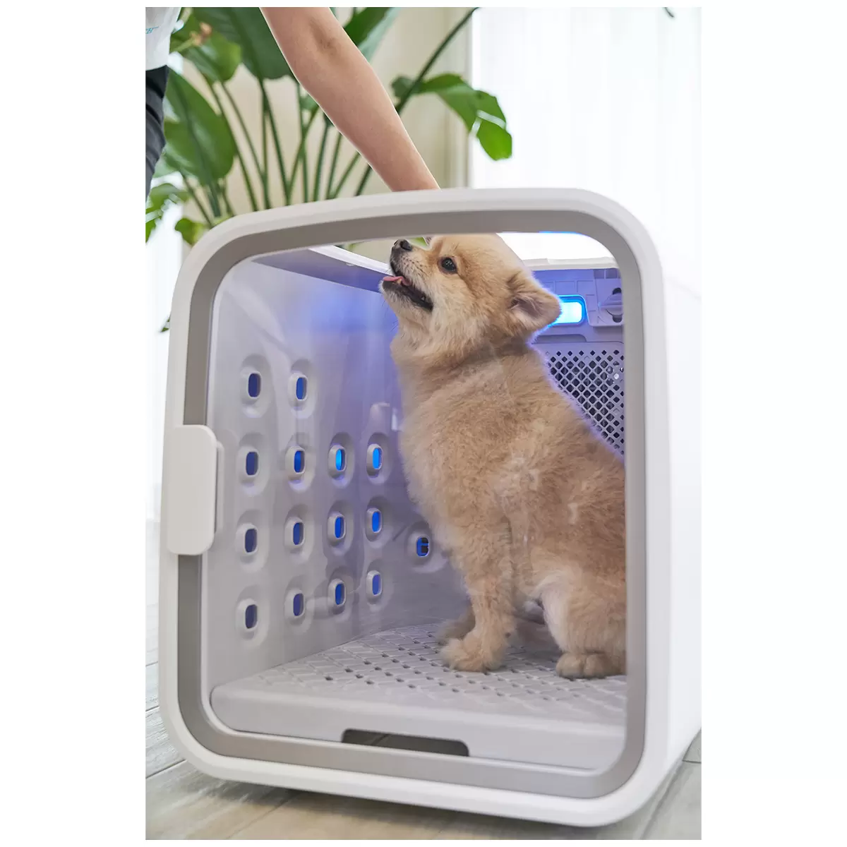 CUCKOO NELLO Air Shower Pet Dryer ND-A0610FG 360° Smart Grooming Dryer