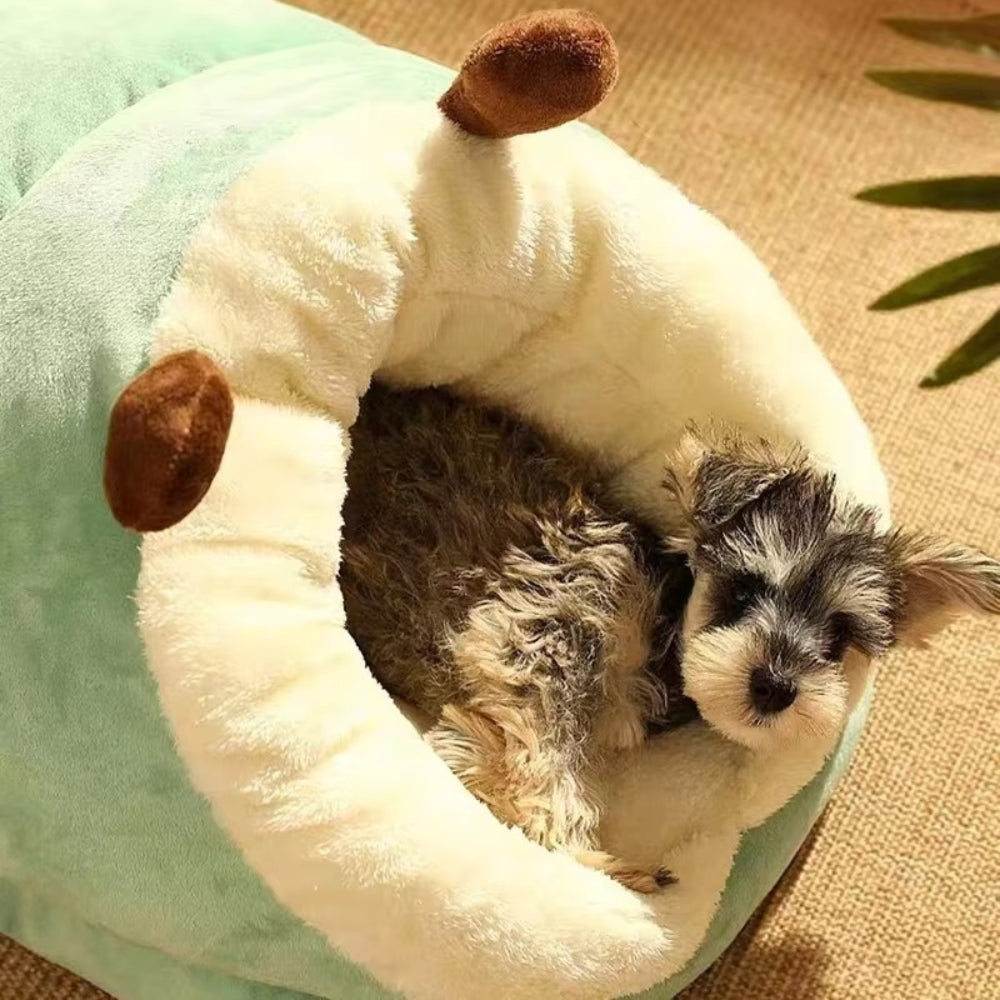 Foldable Slipper Shaped Pet Bed House for Cats and Dogs