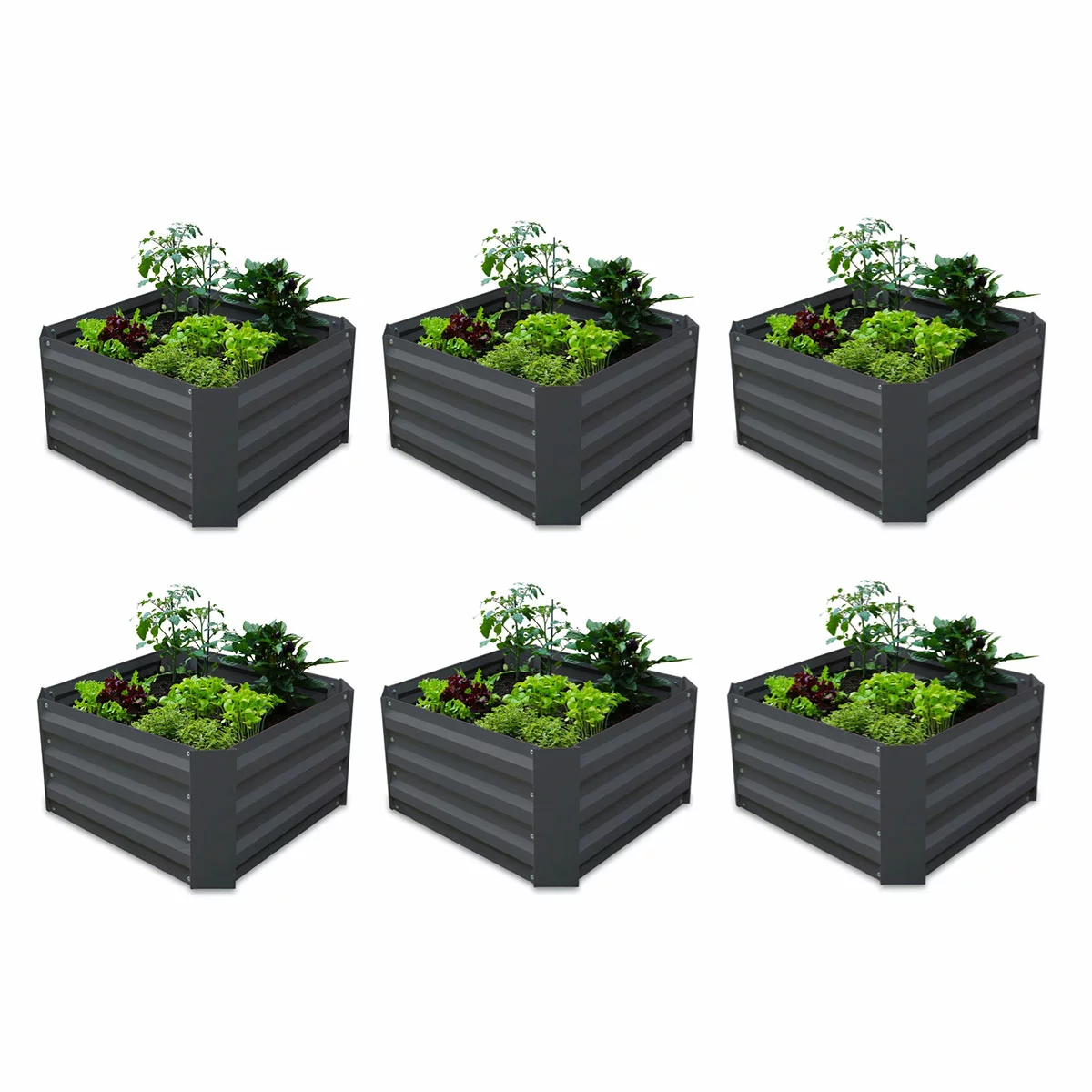 Greenlife Modular Garden Bed 6 Pack 600x600x300mm Raised Planter Box Charcoal