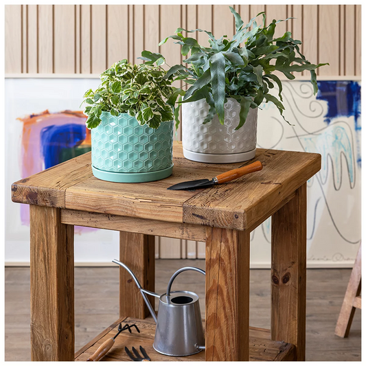 Pack of 2over&back Honeycomb Ceramic Planters W/ Glossy Textured Pots + Saucers