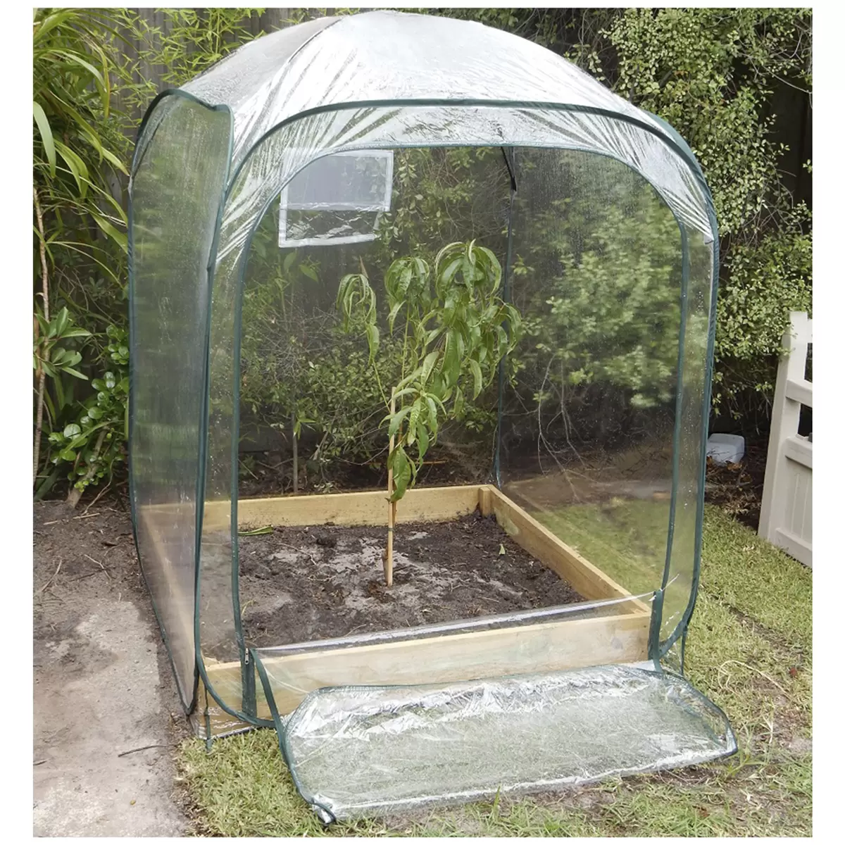Maze Poly Garden Plant Cover 1 x 1.4m - Greenhouse Pop Up Plant Cover