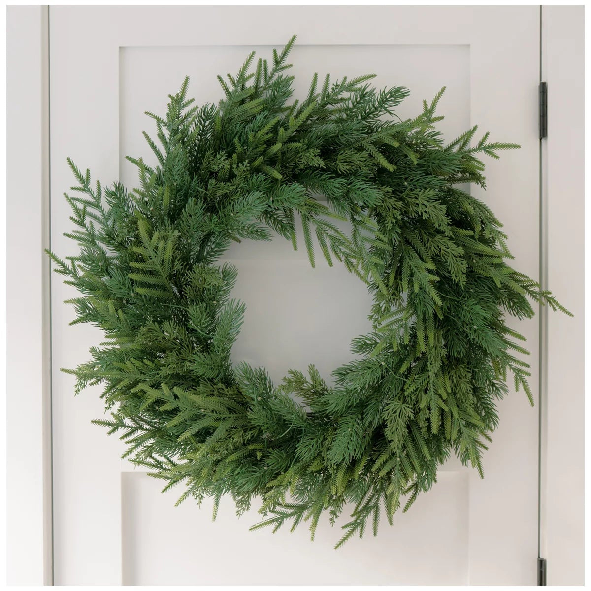 30 Inch Pre-Lit Norfolk Pine Christmas Wreath Battery LED Holiday Decor