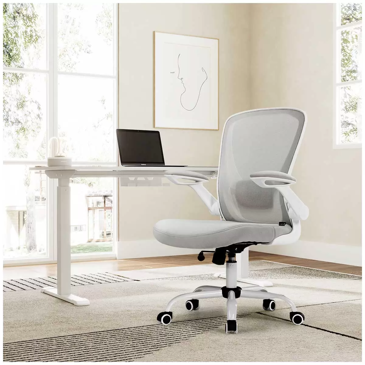 Eureka ONYX Ergonomic Office Chair Desk Chair