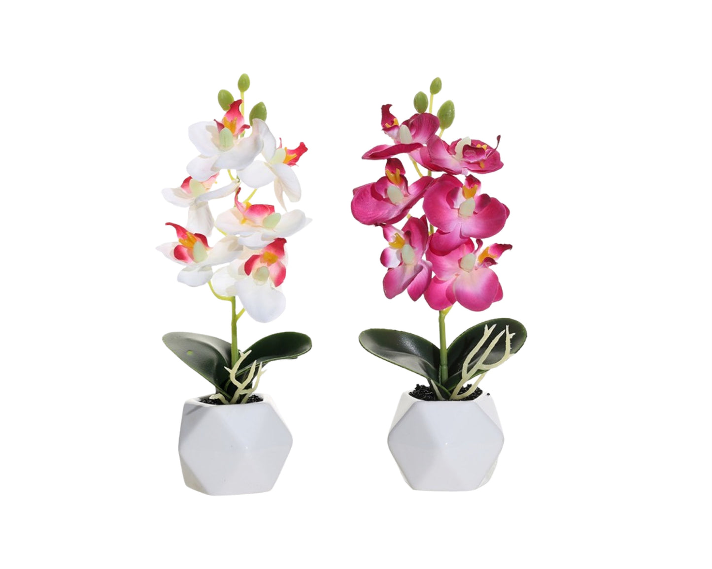 Set 2 Artificial Orchid in Ceramic Pot 10x21cm