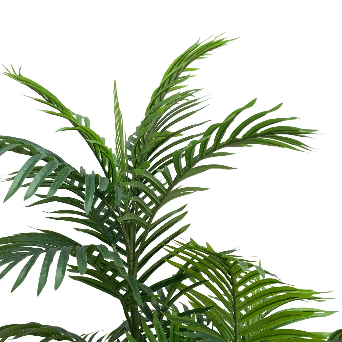 Premium Artificial Potted Multi-trunk Fan Palm 180cm