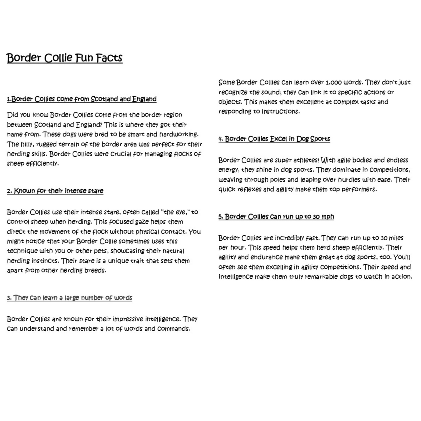 Sleepy Tails - Border Collie - Breathing